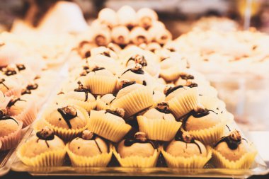 Bir grup çeşit kurabiye. Çikolata parçacıklı, yulaflı, kuru üzümlü, beyaz çikolatalı.