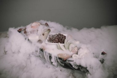 Lezzetli karışık meyveler ve dilimlenmiş meyvelerle dolu bir tabak.