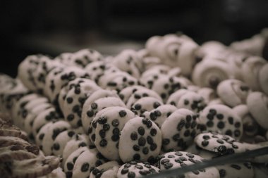 Bir grup çeşit kurabiye. Çikolata parçacıklı, yulaflı, kuru üzümlü, beyaz çikolatalı.