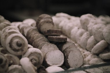 Bir grup çeşit kurabiye. Çikolata parçacıklı, yulaflı, kuru üzümlü, beyaz çikolatalı.