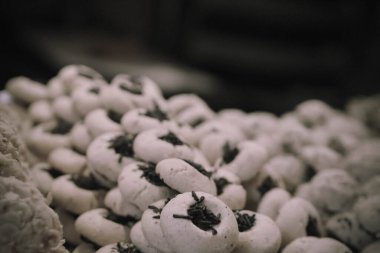 Bir grup çeşit kurabiye. Çikolata parçacıklı, yulaflı, kuru üzümlü, beyaz çikolatalı.