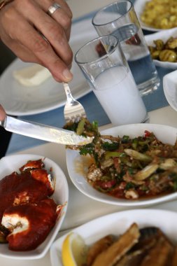 Özel Alkollü İçkili Rakılı Türk ve Yunan Geleneksel Yemek Masası. Uzo ve Türk Rakısı, Türkiye, Yunanistan, Kıbrıs ve Lübnan'da yaygın olarak tüketilen kuru anason aromalı bir aperatiftir.