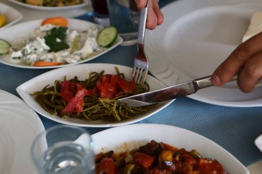 Özel Alkollü İçkili Rakılı Türk ve Yunan Geleneksel Yemek Masası. Uzo ve Türk Rakısı, Türkiye, Yunanistan, Kıbrıs ve Lübnan'da yaygın olarak tüketilen kuru anason aromalı bir aperatiftir.
