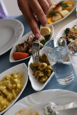 Özel Alkollü İçkili Rakılı Türk ve Yunan Geleneksel Yemek Masası. Uzo ve Türk Rakısı, Türkiye, Yunanistan, Kıbrıs ve Lübnan'da yaygın olarak tüketilen kuru anason aromalı bir aperatiftir.