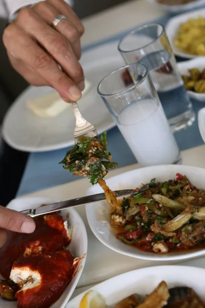 Traditioneller Türkischer Und Griechischer Esstisch Mit Einem Speziellen Alkoholgetränk Raki — Stockfoto