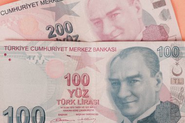 Türk para birimi ve Türk lireti banknotları