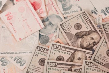 Türk Lirası ve Amerikan Doları