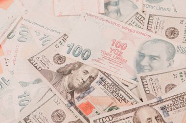 Türk Lirası ve Amerikan Doları
