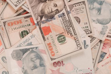 Türk Lirası ve Amerikan Doları