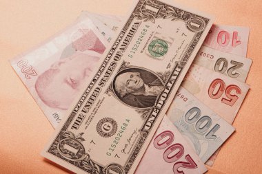 Türk Lirası ve Amerikan Doları