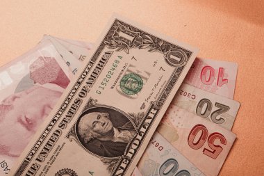Türk Lirası ve Amerikan Doları