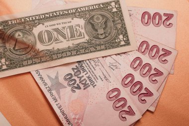 Türk Lirası ve Amerikan Doları