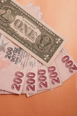 Türk Lirası ve Amerikan Doları