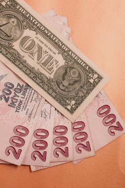 Türk Lirası ve Amerikan Doları
