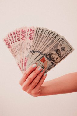 Türk Lirası ve Amerikan Doları