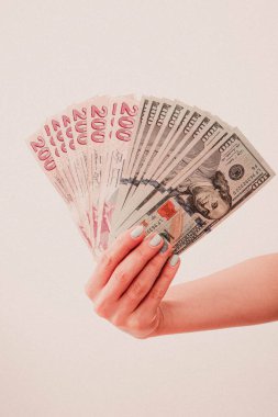 Türk Lirası ve Amerikan Doları