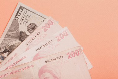 Türk Lirası ve Amerikan Doları