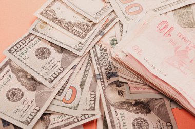 Türk Lirası ve Amerikan Doları