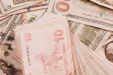 Türk Lirası ve Amerikan Doları