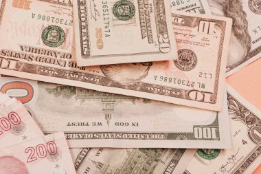 Türk Lirası ve Amerikan Doları