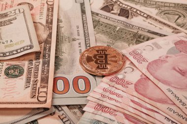 Türk lirası, Amerikan doları ve bitcoin paraları