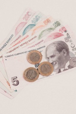 Türk para birimi ve Türk lireti banknotları
