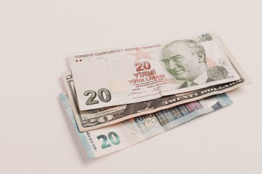 Türk Lirası, Amerikan Doları ve Euro
