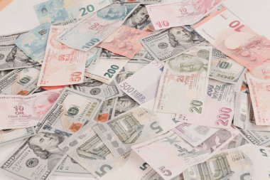 Multi Euro Nakit ve Bozuk Para, farklı türde yeni nesil banknotlar, bitcoin, Türk lirası