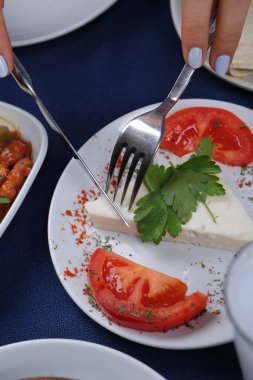 Geleneksel Türk ve Yunan yemek meze masası