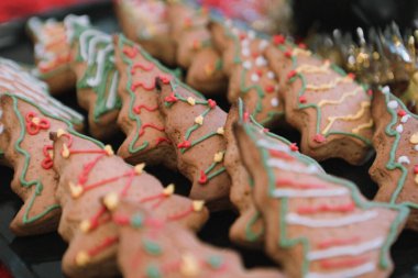 Bir grup çeşit kurabiye. Çikolata parçacıklı, yulaflı, kuru üzümlü, beyaz çikolatalı.