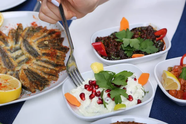 Traditional Turkish Greek Dinner Meze Table — Stock Photo, Image