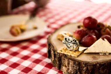 Peynir tabağı, gurme şarap ve peynir tabağı.