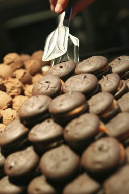 Bir grup çeşit kurabiye. Çikolata parçacıklı, yulaflı, kuru üzümlü, beyaz çikolatalı.