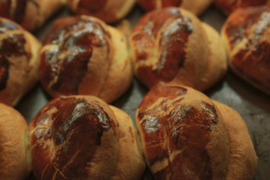 Lezzetli ve ızgara sandviç.