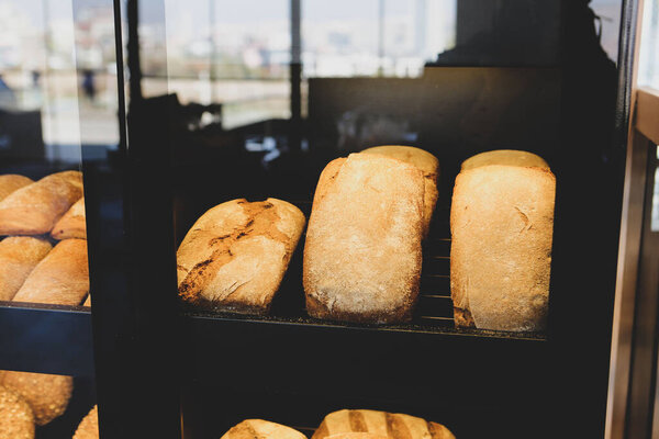 Delicious and grilled wrap sandwich