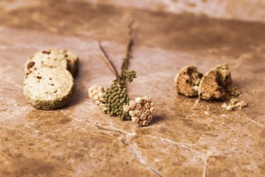 Koyu çikolata parçaları ile tanımlama