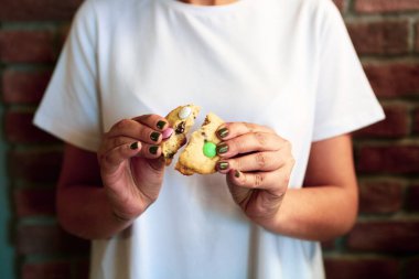 Bir grup çeşit kurabiye. Çikolata parçacıklı, yulaflı, kuru üzümlü, beyaz çikolatalı.