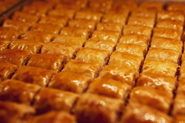 Geleneksel hindistancevizli tatlı baklavası. Ev yapımı fındıklı ve ballı baklava..