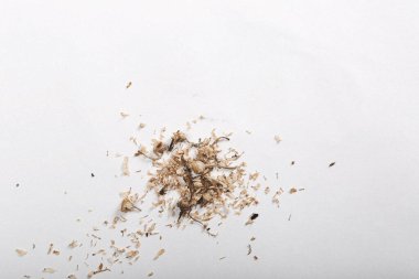 Dağınık çiçek parçaları beyaz arkaplanda izole edilmiş