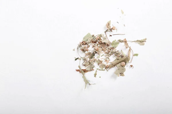 Piezas Flores Dispersas Aisladas Sobre Fondo Blanco — Foto de Stock