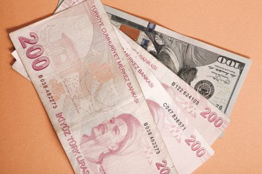 Türk Lirası ve Amerikan Doları
