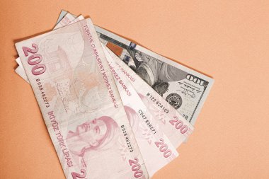 Türk Lirası ve Amerikan Doları