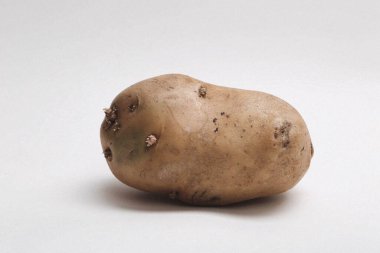 beyaz zemin üzerine taze patates