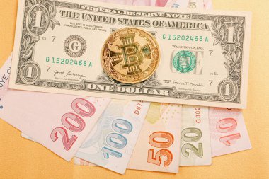 Türk lirası, Amerikan doları ve bitcoin paraları