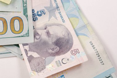 Türk Lirası, Amerikan Doları ve Euro