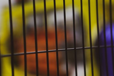 Çizgili siyah arkaplanı kapat