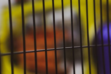 Çizgili siyah arkaplanı kapat