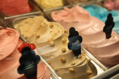 Buzdolabında lezzetli meyveli dondurma var..