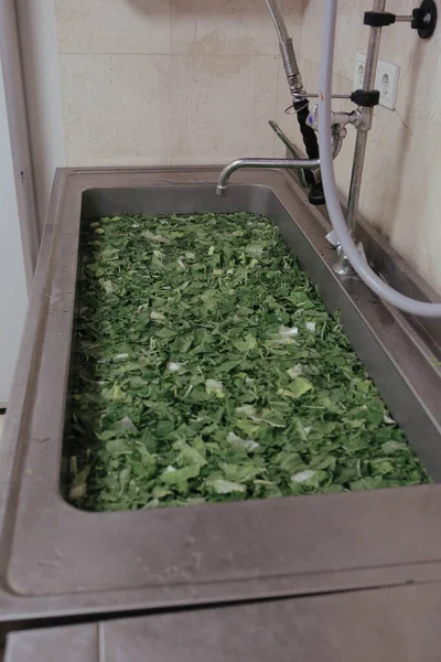 Tvättade Grönsaker Diskhon — Stockfoto