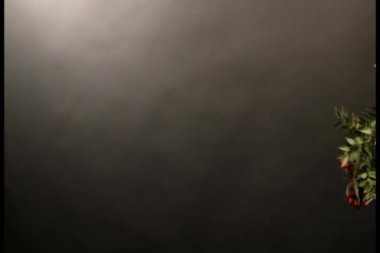 Kokina kırmızı çiçek siyah arkaplan